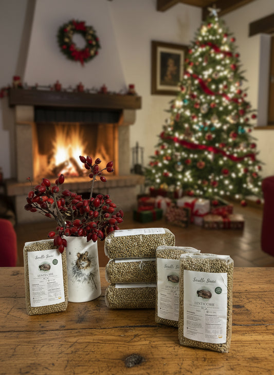 Cesto “Buona Fortuna” – 3 kg Lenticchie Artigianali della Basilicata | Idea Regalo Natale 🤎🎄