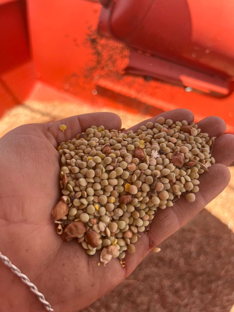 Lentils, 500g