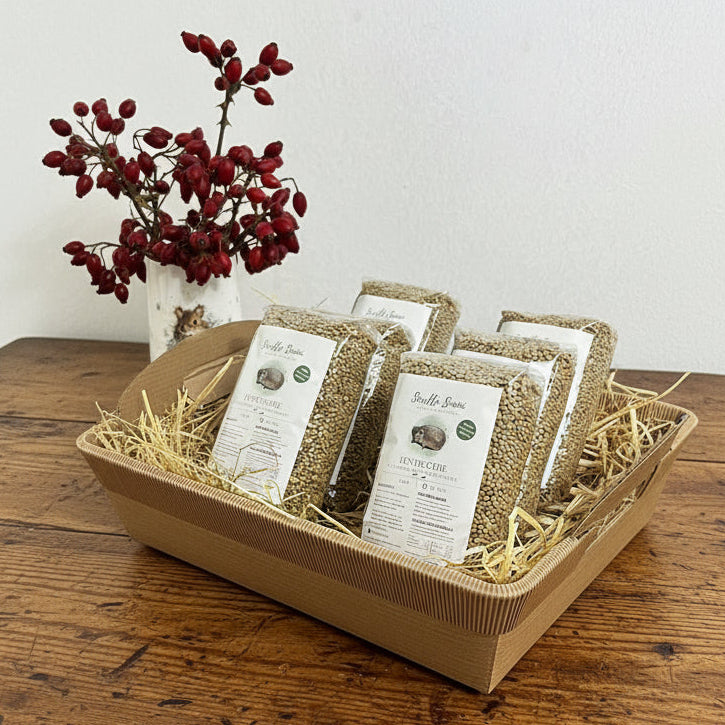 Cesto “Buona Fortuna” – 3 kg Lenticchie Artigianali della Basilicata | Idea Regalo Natale 🤎🎄